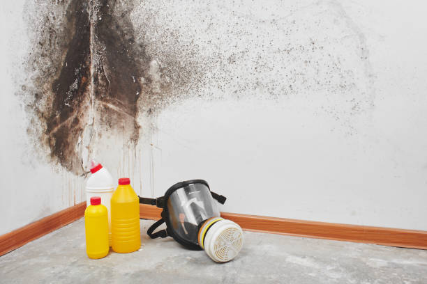 Water Damage Restoration in Emmonak, AK