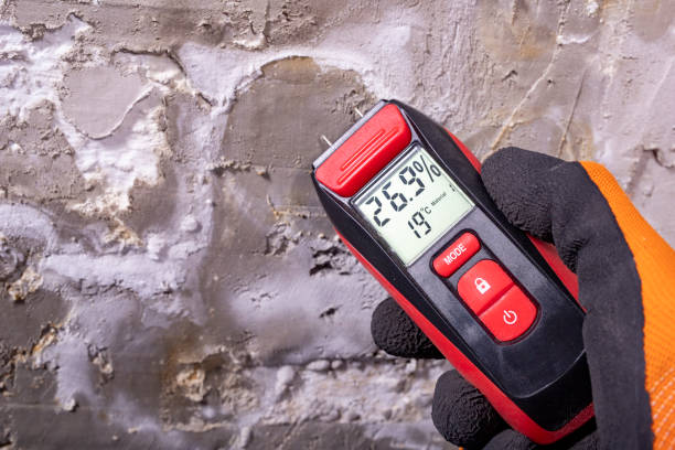 Best Residential Mold Removal  in Emmon, AK