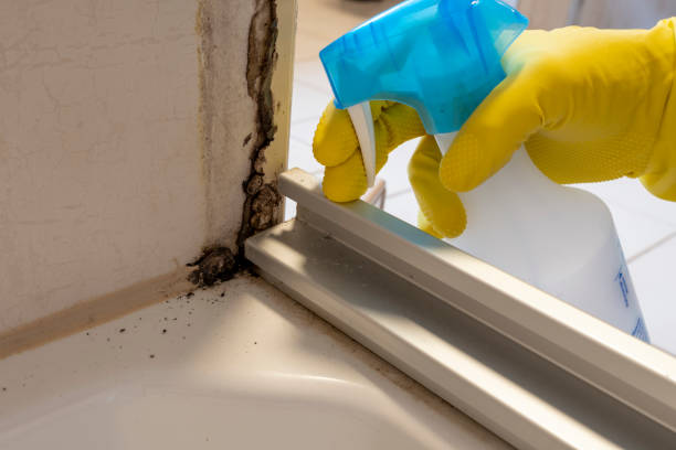 Best Emergency Mold Removal  in Emmon, AK