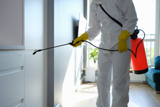 Best Professional Mold Removal  in Emmon, AK