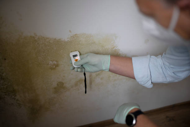 Best Mold Testing  in Emmon, AK