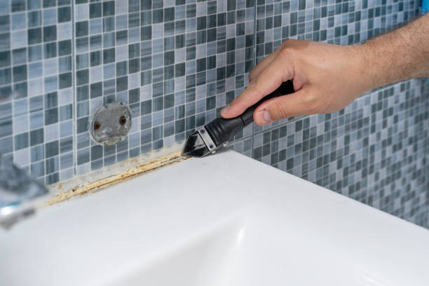 Best Professional Mold Removal  in Emmon, AK