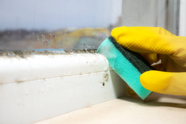 Attic Mold Removal in Emmonak, AK