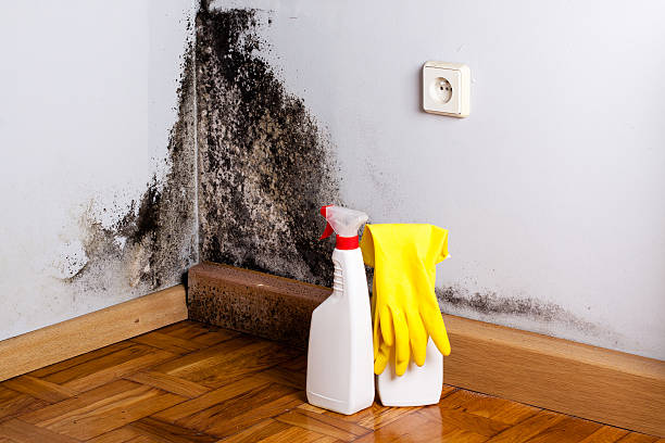 Best Home Mold Removal  in Emmon, AK